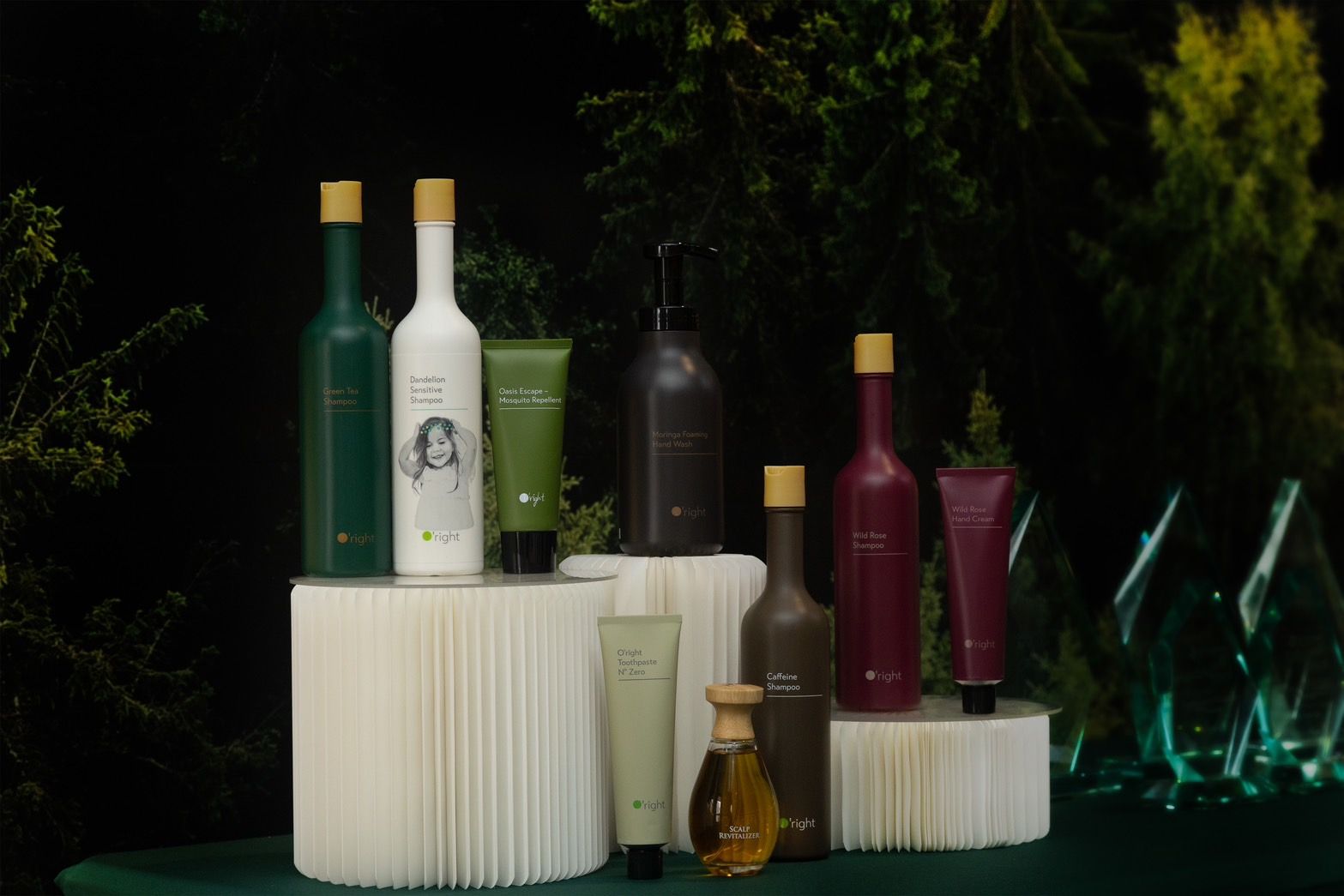 專櫃正貨的高品質清潔用品 最低36折就能在全聯購入！.jpg